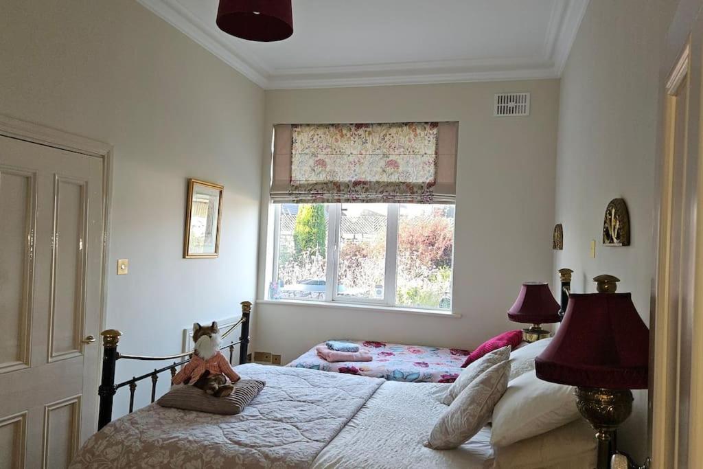 Grove Cottage At The Lodge Tullow Extérieur photo